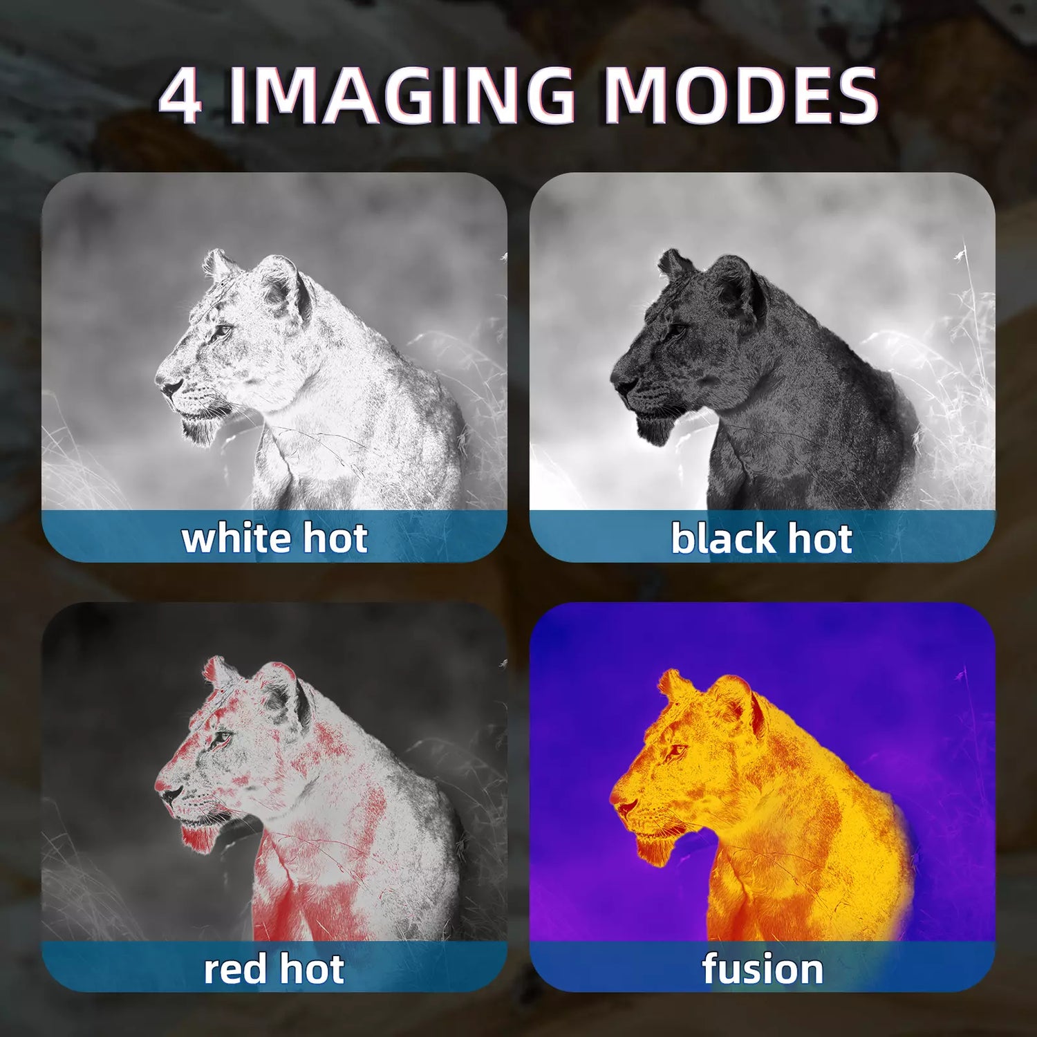 Four different imaging modes showing a lion with labels 'white hot', 'black hot', 'red hot', and 'fusion'. thermal imaging camera